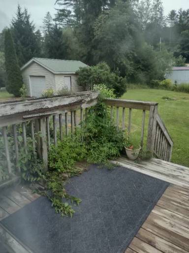 Main picture of 5418 Linville Falls Hwy