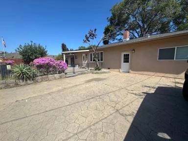 Main picture of 1013 Live Oak Ave