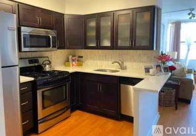 Main picture of 253 E Delaware Condos