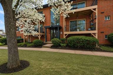 Main picture of Brooke Court Apartments