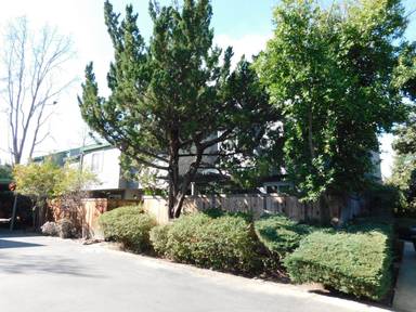 Main picture of 5231 Lake Knoll Ln