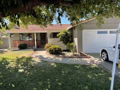 Main picture of 1033 El Caminito