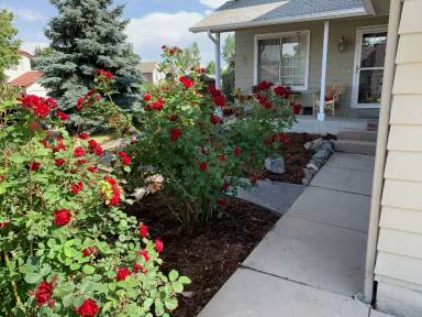 Main picture of 3786 Shefield Dr