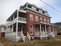 Main picture of 667 Otsego Street-Red Onion - C