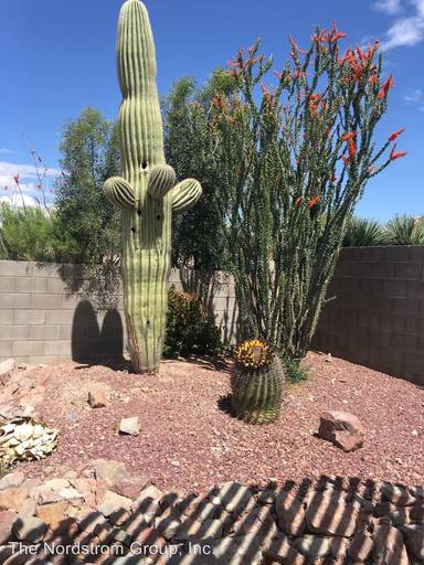 Main picture of 10185 E Desert Mesa Dr