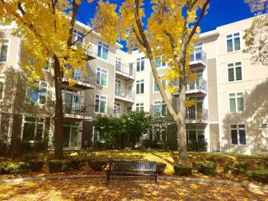 Main picture of 7 Cameron Ave