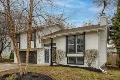 Main picture of 12511 Patrick Cir