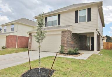 Main picture of Lone Cypress