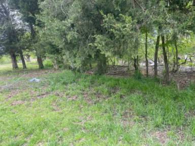 Main picture of 253 Barger Rd