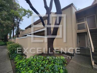 Main picture of 986 Kiely Blvd