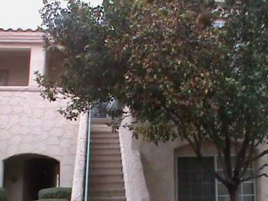 Main picture of 6900 Indian Chief Dr