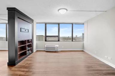 Main picture of 1209 S Michigan Ave