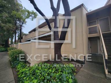 Main picture of 986 Kiely Blvd