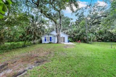 Main picture of 246 Jasmine St