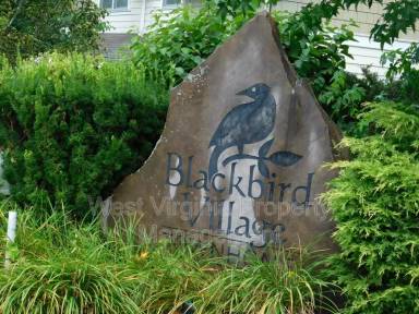 Main picture of 198 Blackbird Village Cir