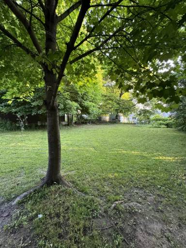 Main picture of 376 Alger St