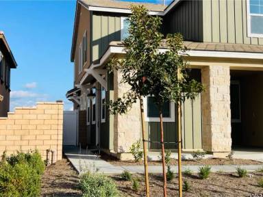 Main picture of 30836 Mountain Ash