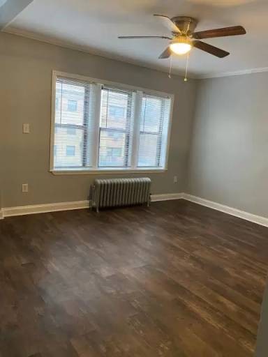 Main picture of 1133 E 82nd St