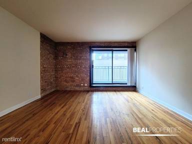 Main picture of 1220 N La Salle Dr