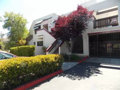 Main picture of 524 Shorebird Cir