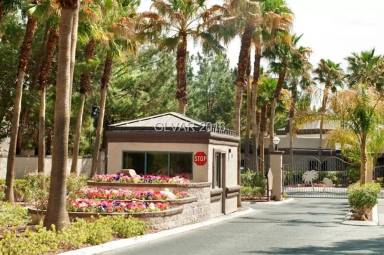 Main picture of Spanish Palms