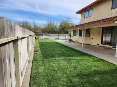 Main picture of 1137 Villa Manucha Rd