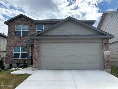 Main picture of 13328 Sugarberry Elm