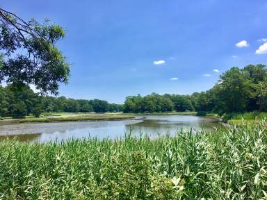 Main picture of 2728 Windship Pt