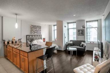 Main picture of 579 W Kinzie St