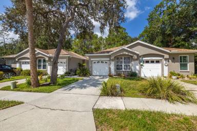 Main picture of 3162 Brooker Creek Way