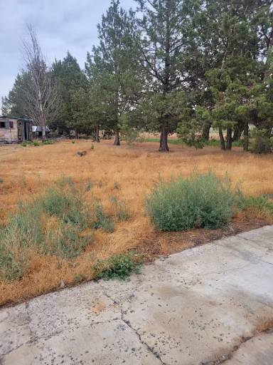 Main picture of 6700 SW 46th St