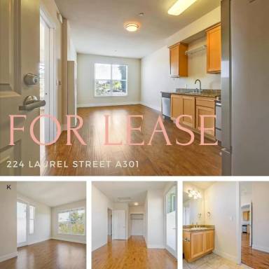 Main picture of 224 Laurel St