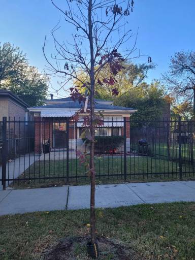 Main picture of 6806 S Evans Ave