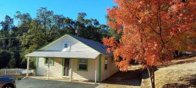 Main picture of 942 Robin Ct