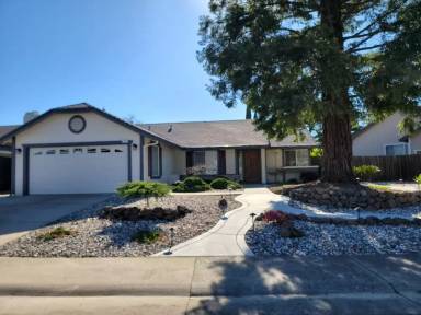 Main picture of 167 Bittercreek Dr
