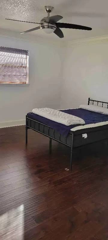 Main picture of 8129 Lemon Tree St