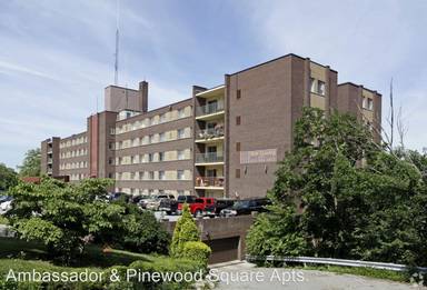 Main picture of Ambassador Apartment