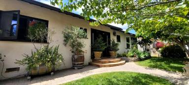 Main picture of 233 Agnus Dr