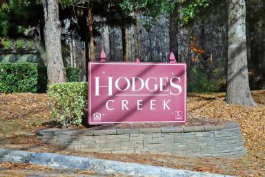 Main picture of 2010 Hodges Creek Dr