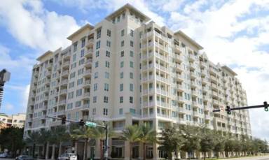 Main picture of CITY PALMS
