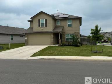 Main picture of 13207 Needle Grass
