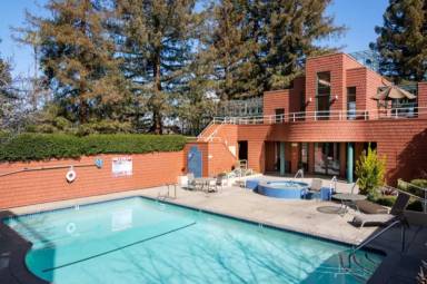Main picture of Palo Alto Redwoods