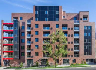 Main picture of The Maya