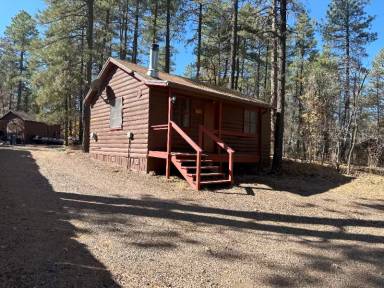 Main picture of 237 E White Mountain Blvd