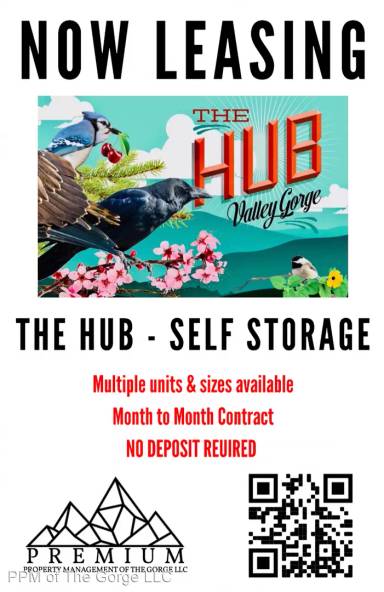 Main picture of 207 Laughlin St