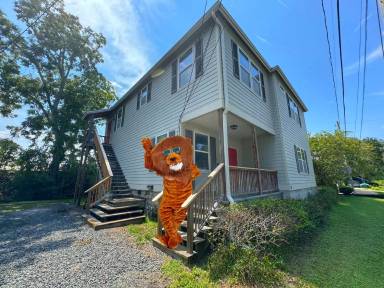 Main picture of 38 Weeden St