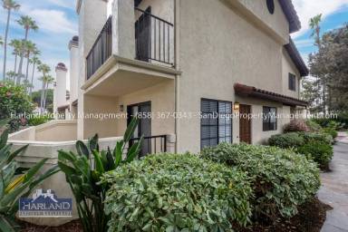 Main picture of 4150 Porte de Palmas