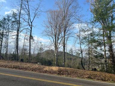 Main picture of 3988 Dug Hill Rd