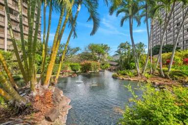 Main picture of Kukui Plaza