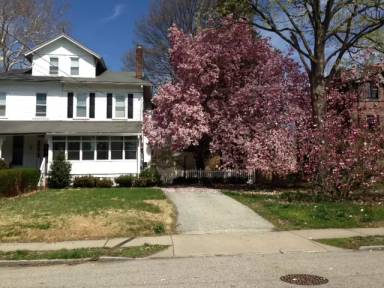 Main picture of 26 S Wyoming Ave